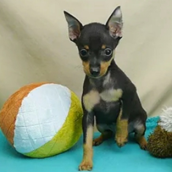 ACCEPT YOUR ITEMS!! - Picture 3 of 5